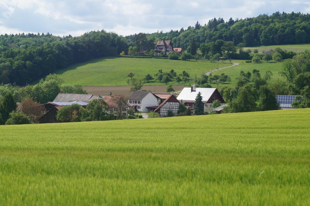Вилла Bolderhof Hemishofen Экстерьер фото
